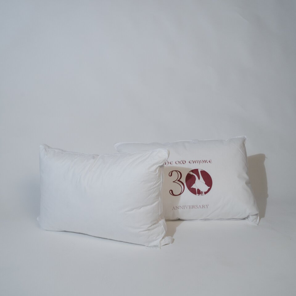 basic-feather-down-pillow-set-of-2-260803034734